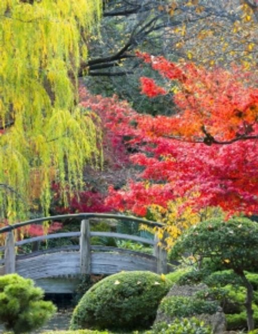 Hovedbilde Japansk Hage  Skrivebok