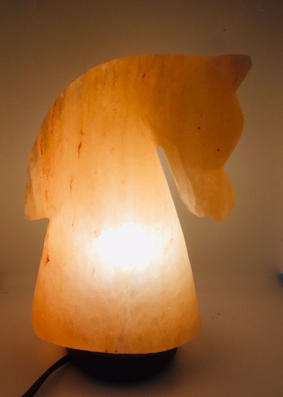 Himalaya Saltkrystall Lampe Hest
