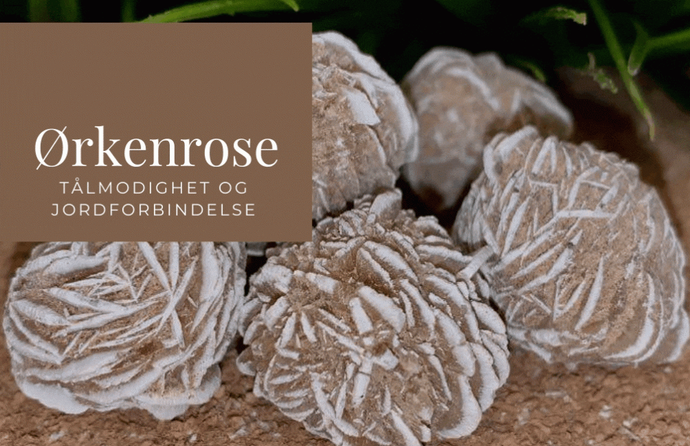 Ørkenrose 5-10 gram