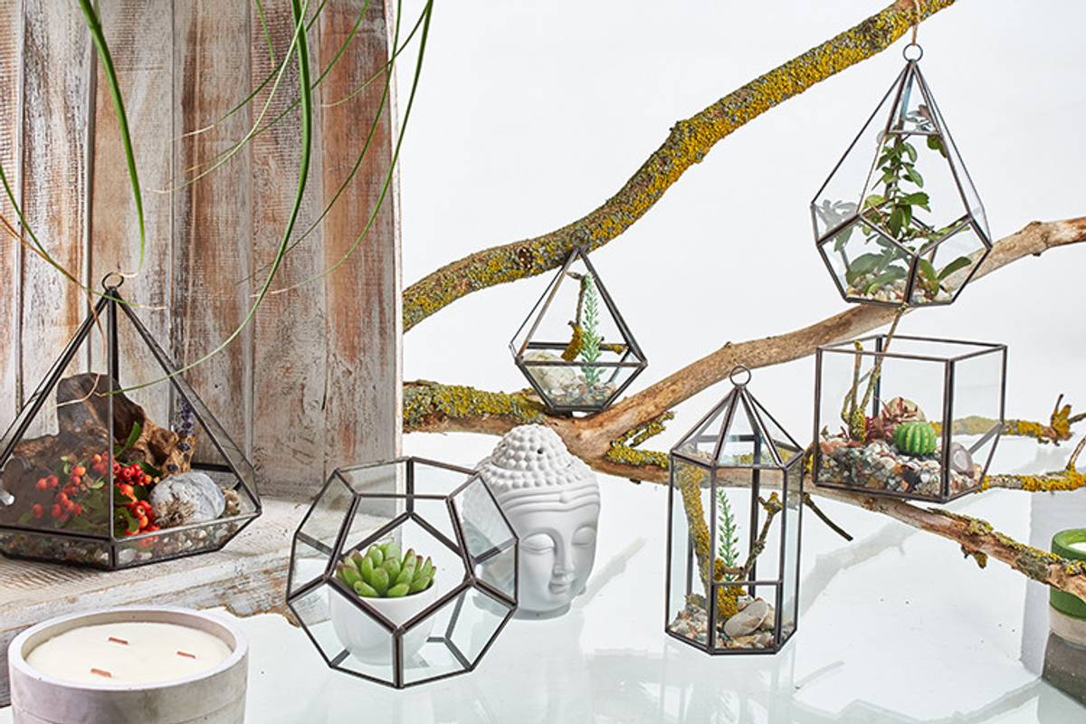 Glass Kube Terrarium