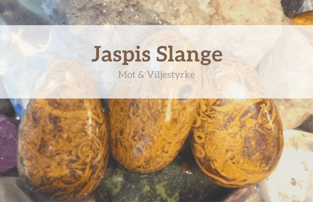 Jaspis Slange