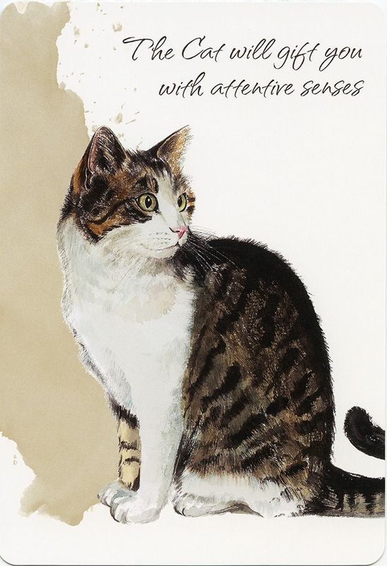 Power Animals Spirit Guides for Your Spiritual Life