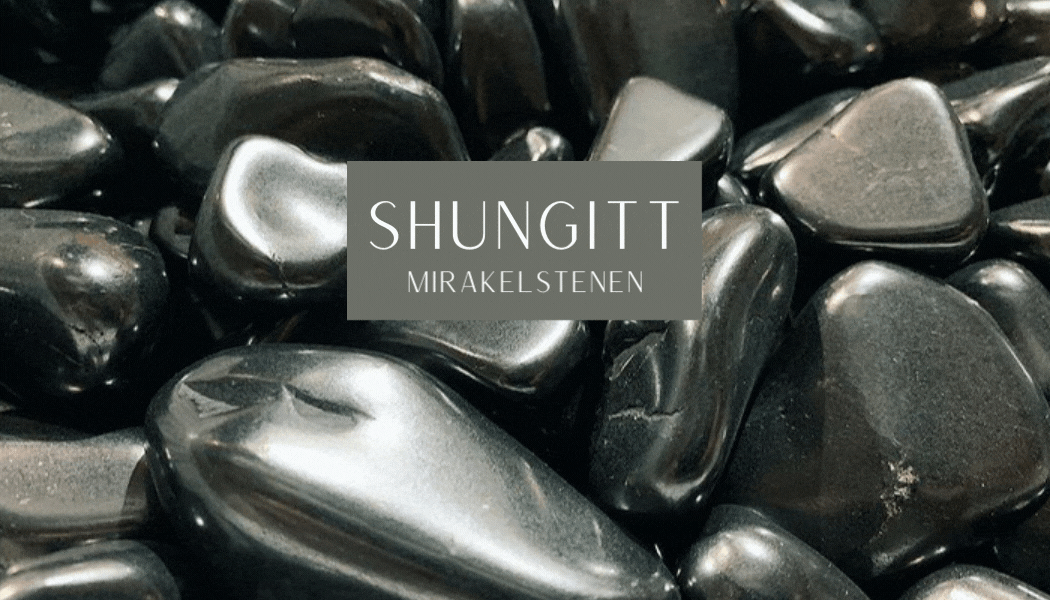 Hovedbilde Shungitt Slipt Anheng