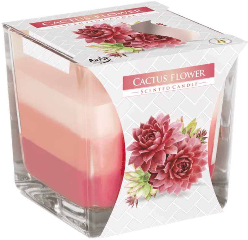 Regnbue Krukke Kaktusblomst Candle