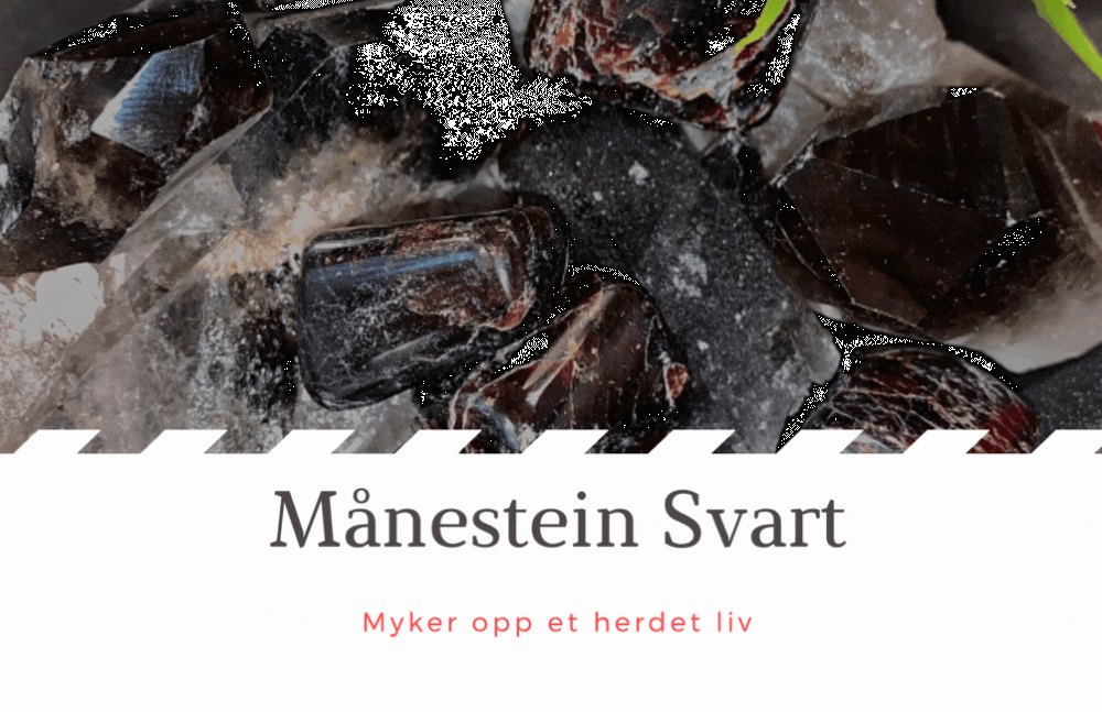 MånesteIn Svart