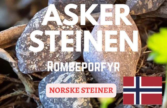 Hovedbilde Asker Steinen - Rombeporfyr - ...