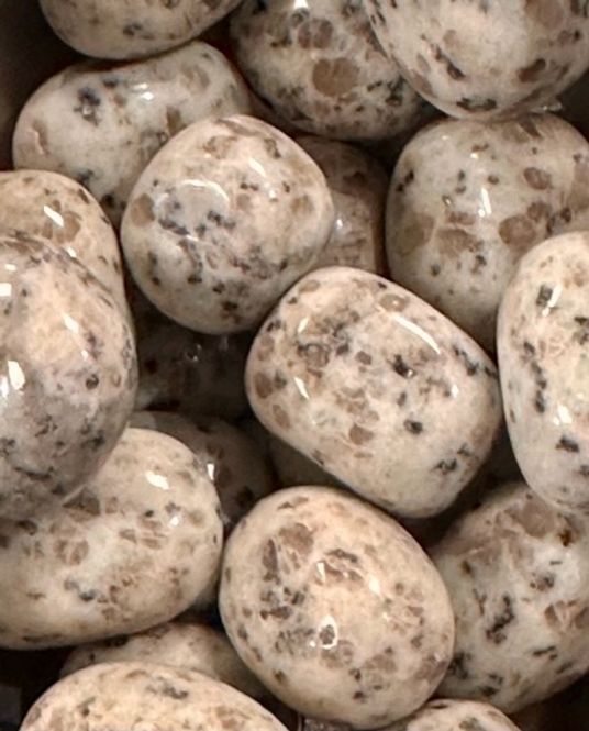Hovedbilde Jaspis Kiwi