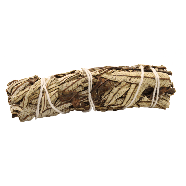 Hovedbilde Yerba Santa Salvie L