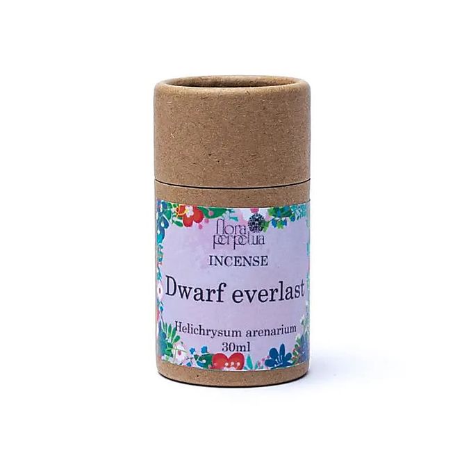Hovedbilde Dwarf Everlaste Urterøkelse