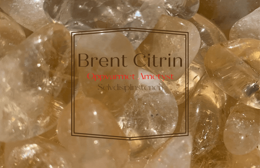 Brent Citrin Gruppe 7-12cm