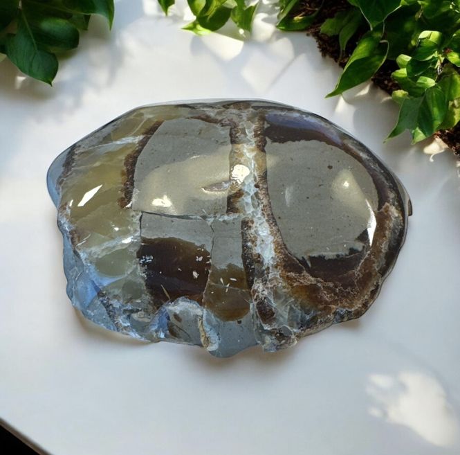 Hovedbilde Septarian - Dragonstone Free ...