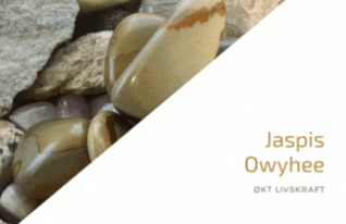 Jaspis Owyhee